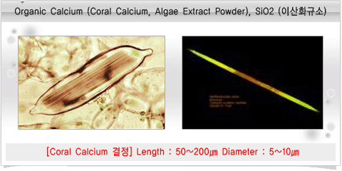 Organic Calcium(Coral Calcium,Algae Extract Powder),SiO2(이산화규소)